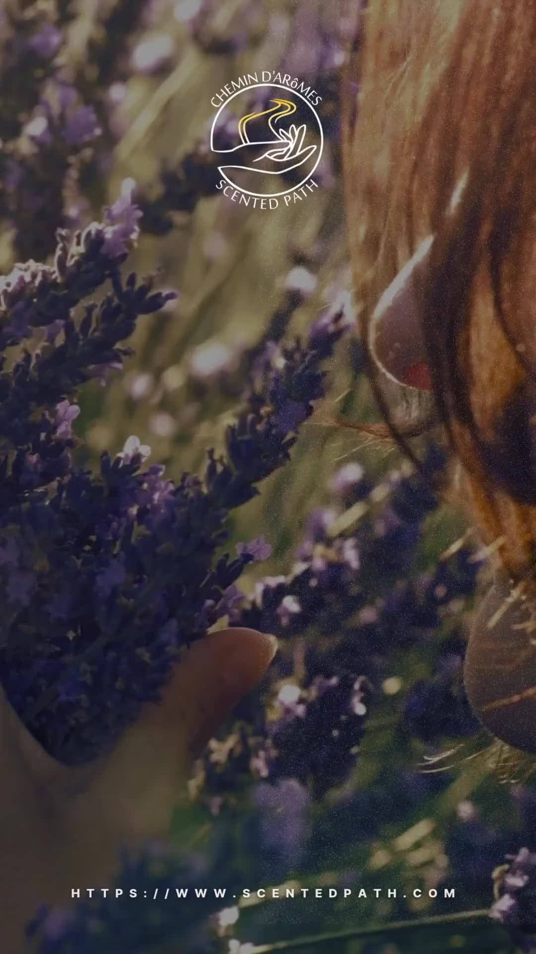 🌿 Aromatherapy for Stress Relief 🌿
Stress got you feeling overwhelmed? Let aromatherapy help you find your calm. Whether it’s through a calming lavender hydrosol or a soothing stress-relief blend, a few drops are all it takes to bring peace