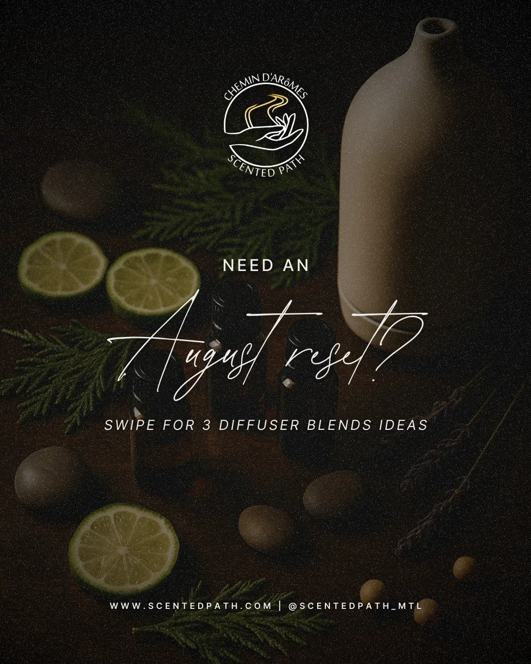 Feeling scattered, heavy, or energetically off this August? 🕯️
Sometimes all you need is the right blend of aroma to shift the energy — in your space and within yourself.
We’ve curated 3 Cleanse + Ground Diffuser Recipes to help you:
✨