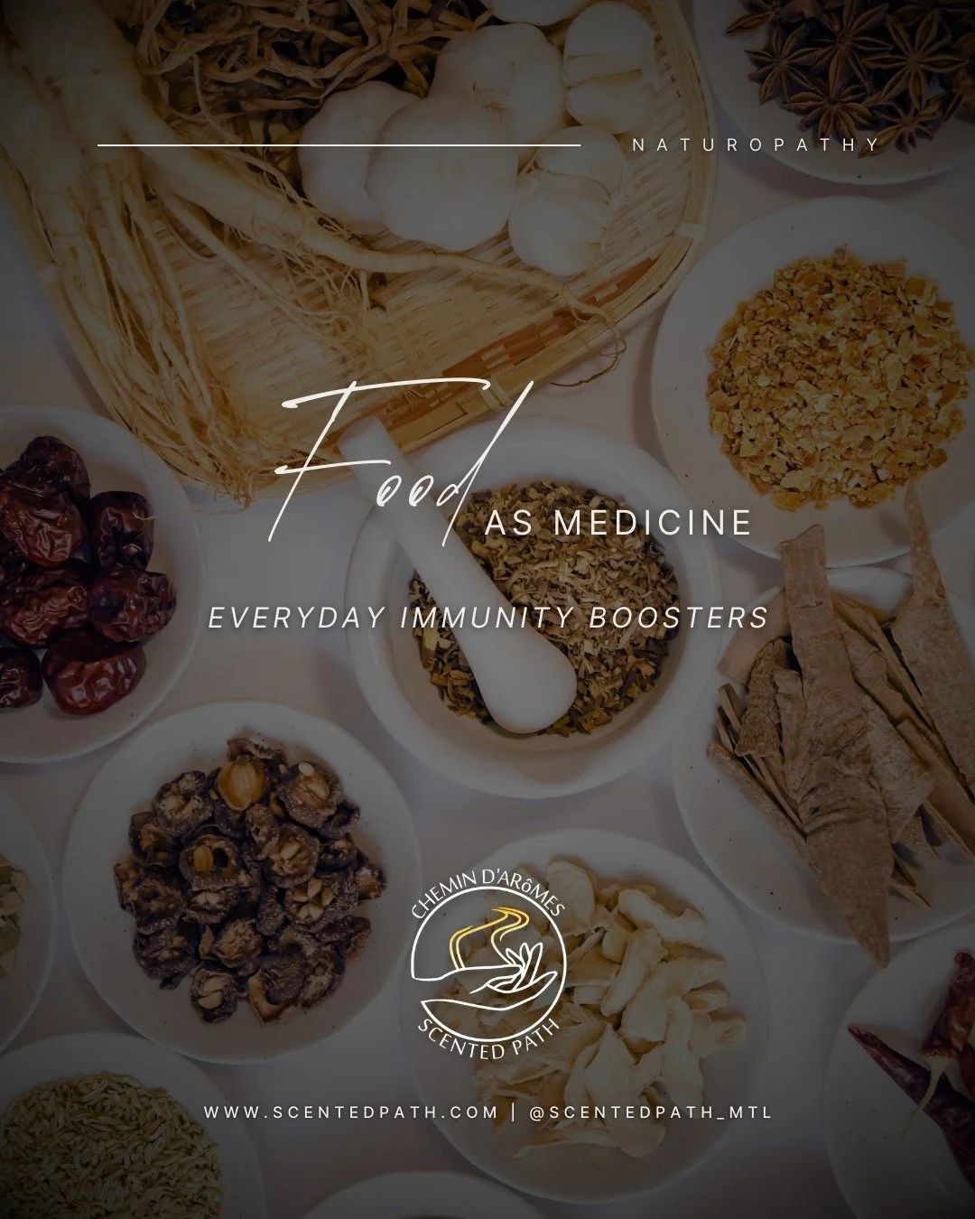 As we transition into autumn, our bodies require additional support to remain resilient. Naturopathy teaches us that some of the most powerful remedies are already in our kitchens.
- Garlic is nature’s antibiotic, helping to strengthen the imm
