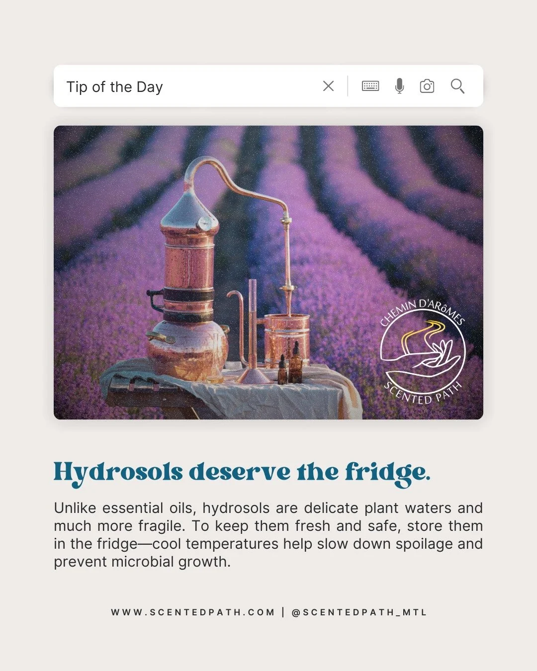 Unlike essential oils, hydrosols are mostly water, which makes them more fragile. Without proper storage, they can lose their freshness quickly or even allow microbes to grow. Keep your hydrosols in the fridge to extend their shelf life and enjoy the