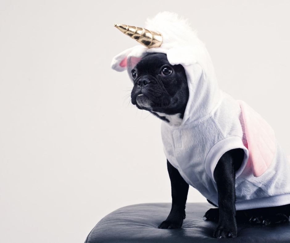 EP11: Destination Soul Purpose