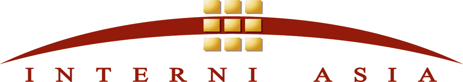 Logo of InterNASI with red arching banner and yellow squares above the text.