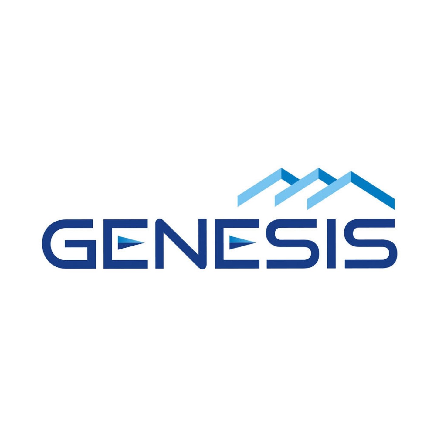 46. Genesis.jpg