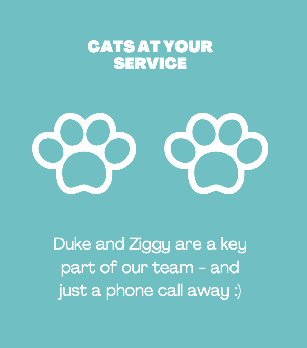 Everything you need to know about Bow Financial Services: infographic