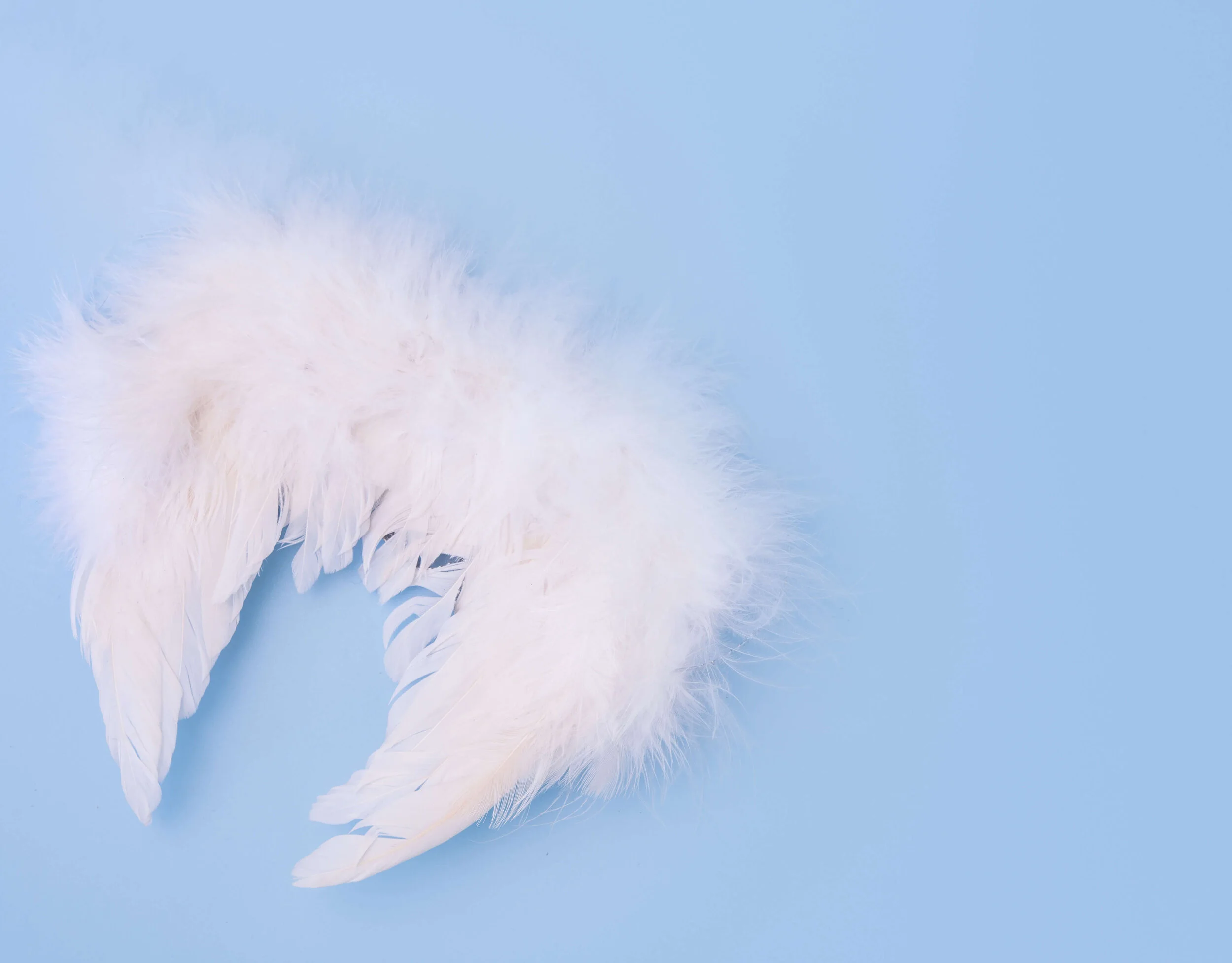 It’s never too early to think about wills and guardianship