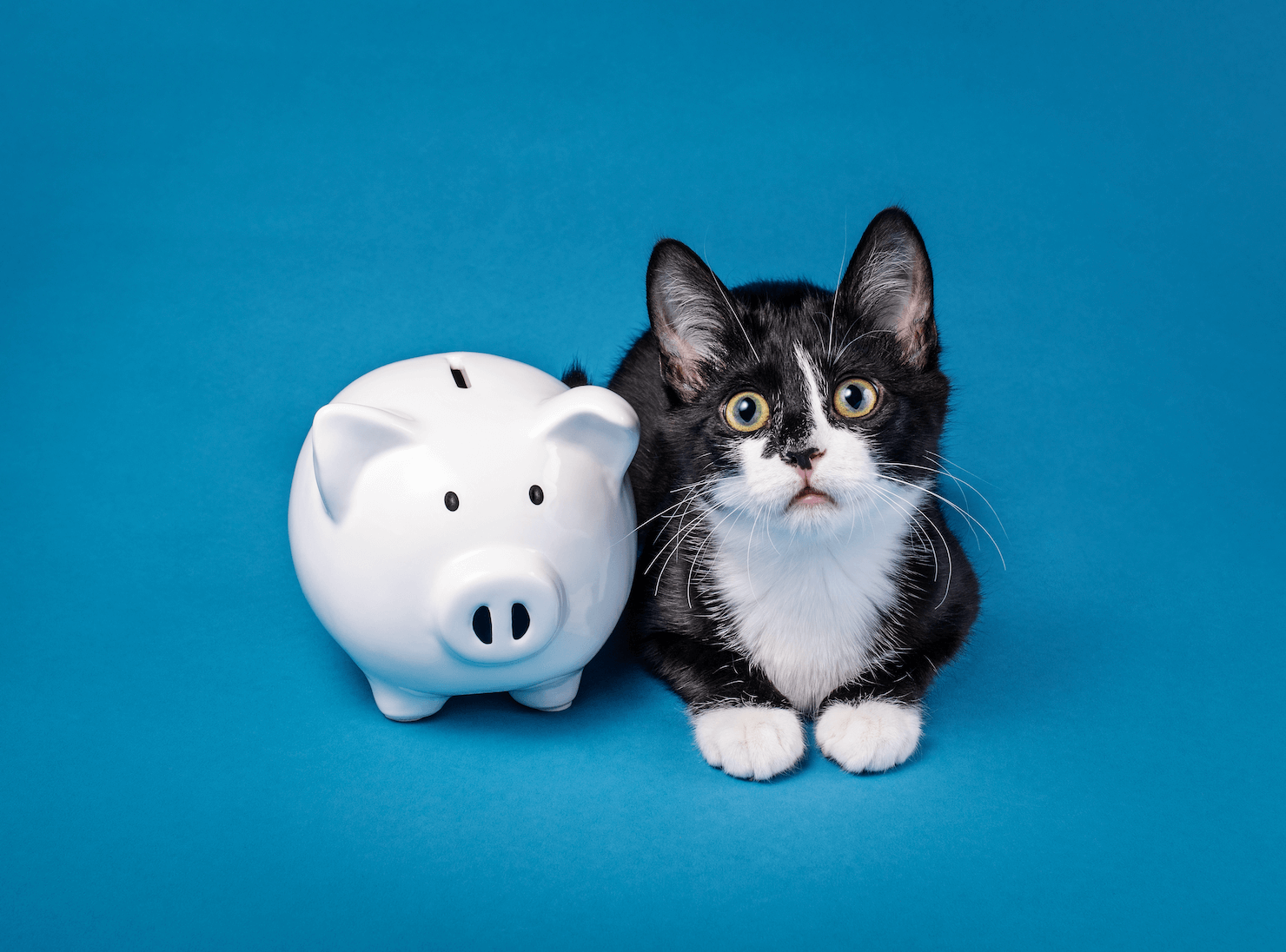 3 reasons not to move your stocks to cash