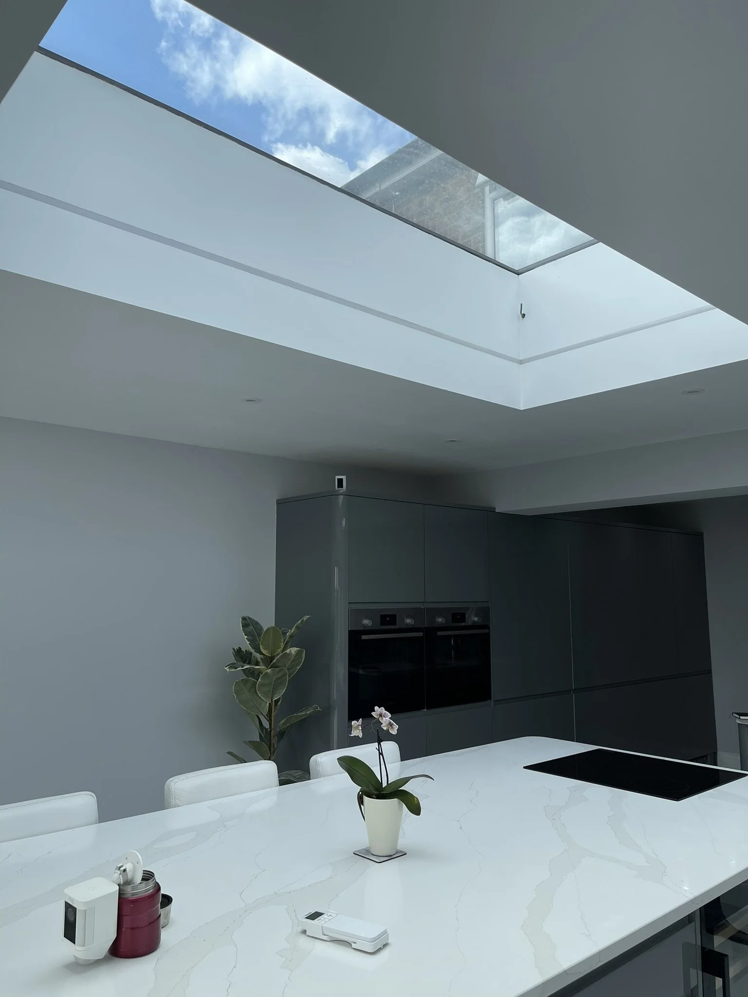Modern kitchen with skylight, white marble countertop, potted orchid, induction cooktop, and gray cabinetry.