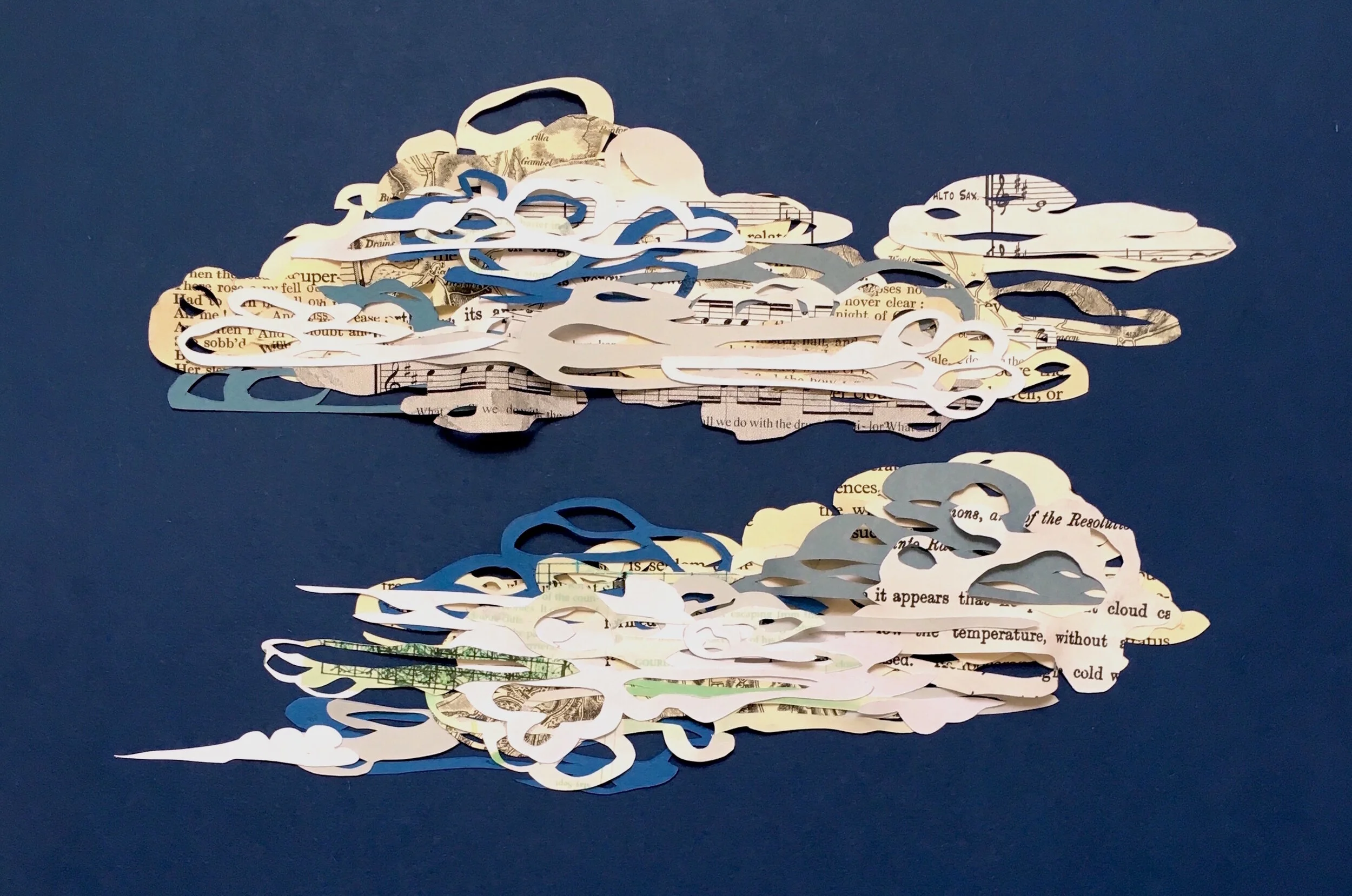 Night Shade (detail) 2018