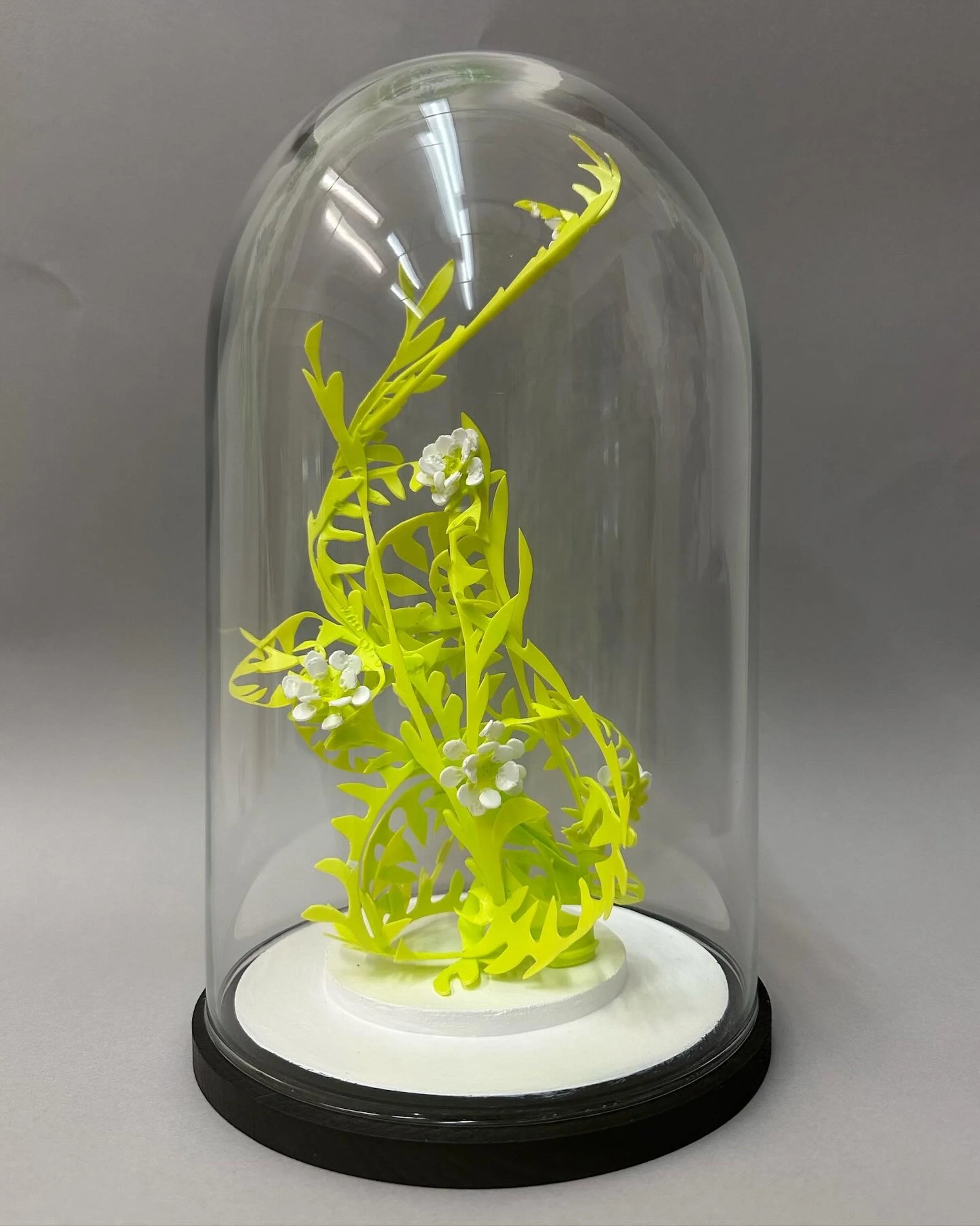 Future Fossil #5 2024 (sold)