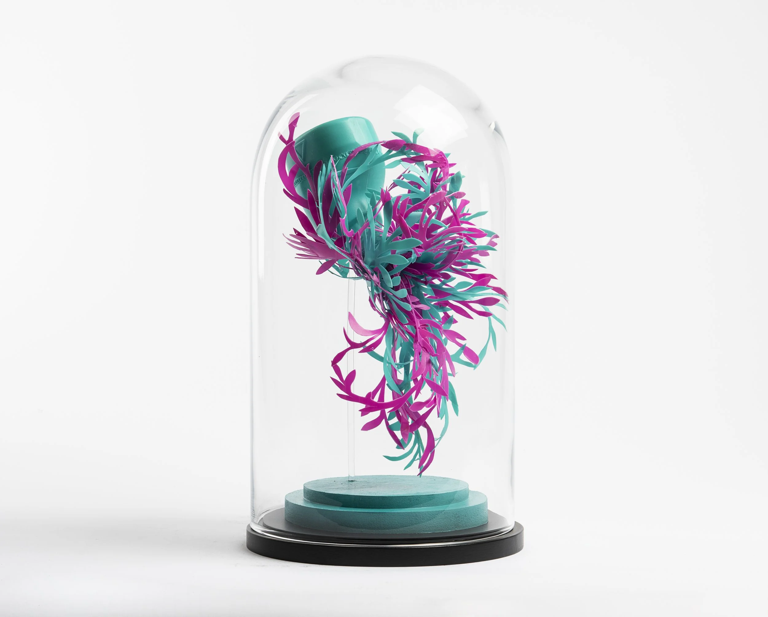 glass dome 0010 copy.jpeg