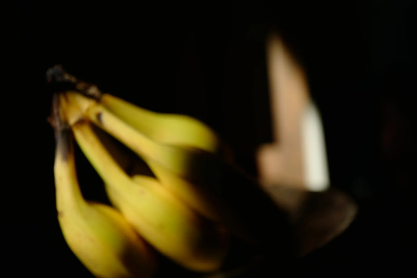 Still Life - Bananas