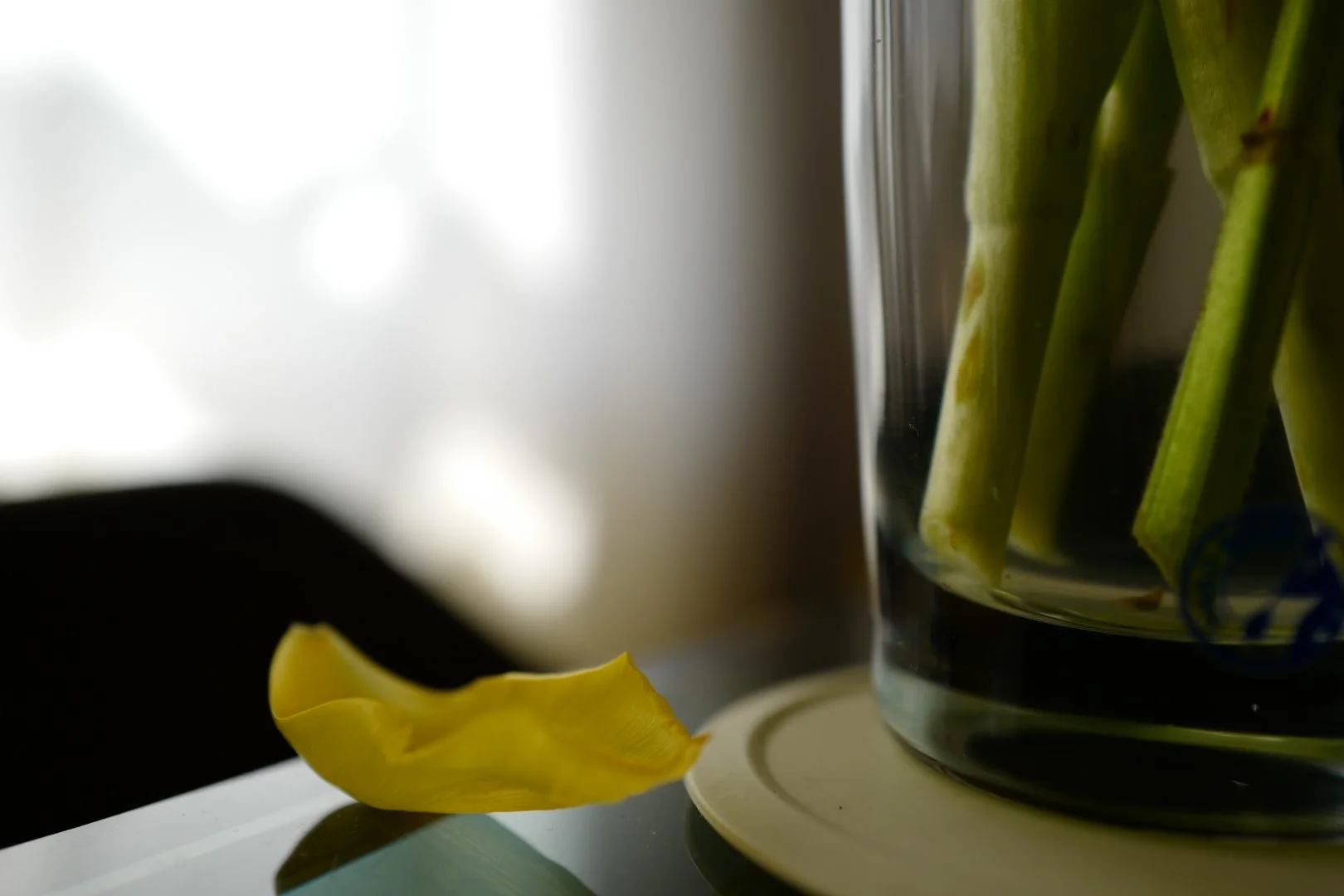 Still Life - Petal