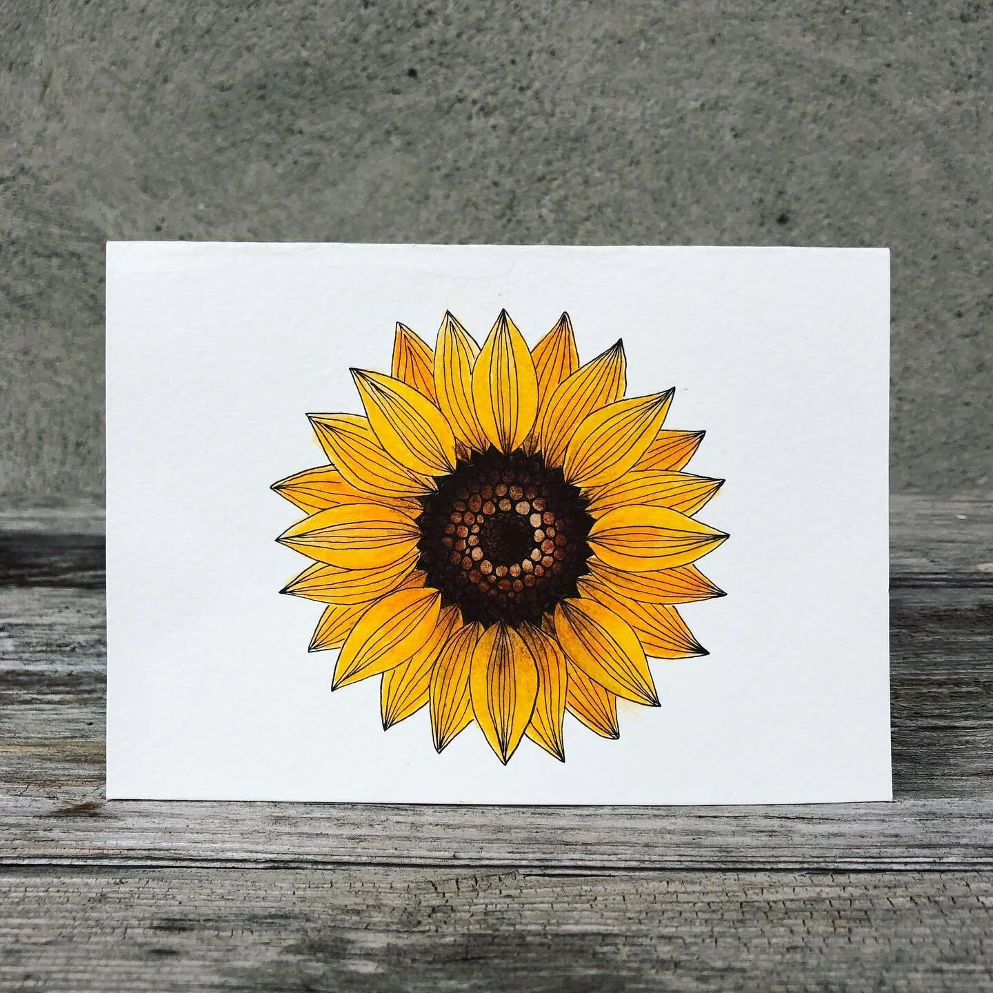 🌻 🌹 🌱 ✈️ 🎈 🥕// share the love

Anyone else find that important birthdays all seem to clump together? I&rsquo;ve found myself making birthday cards non-stop over the last few weeks. Enjoyed thinking of new ideas (and terrible puns) so much that I