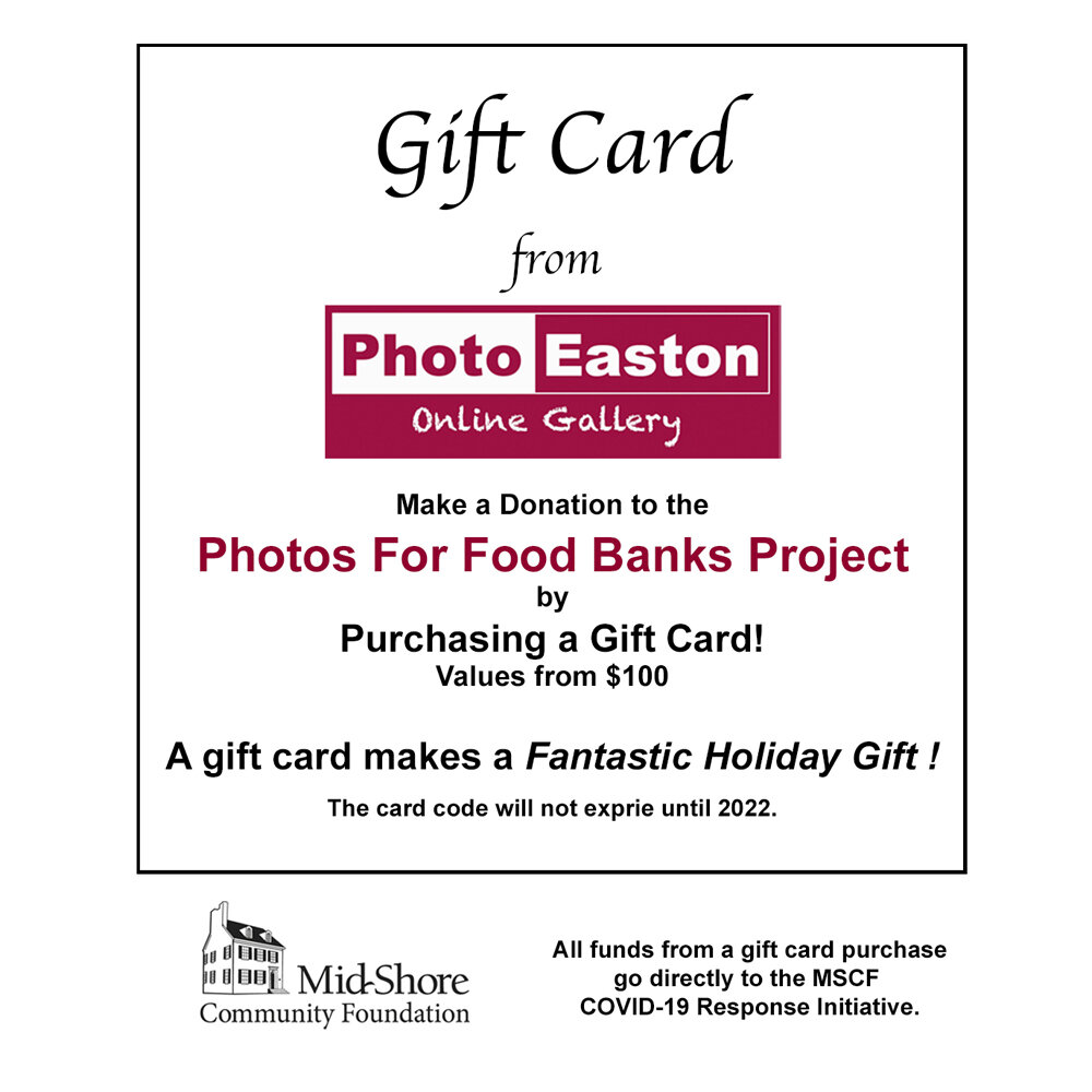 Gift Card Layout 2 Thumb.jpg