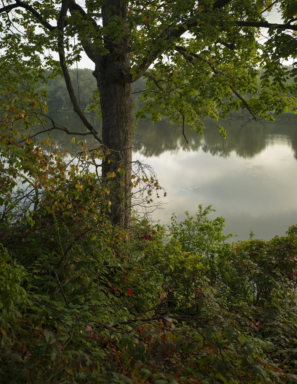 The Thames River at St Marys.jpg