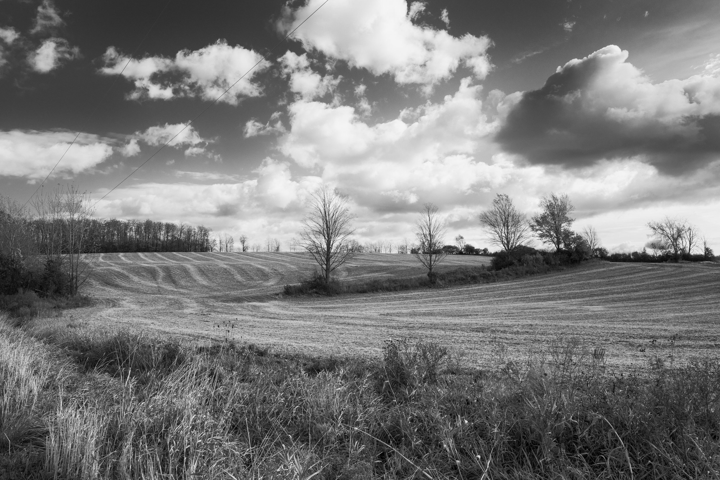 Three Poems to End the Year