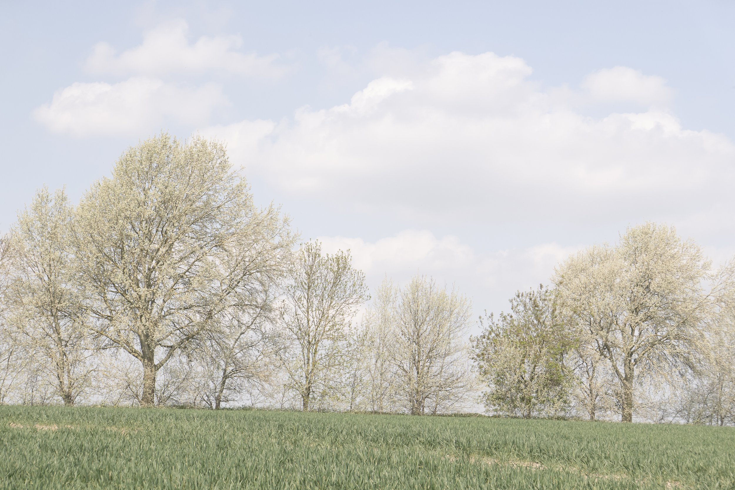 Spring, Hertfordshire