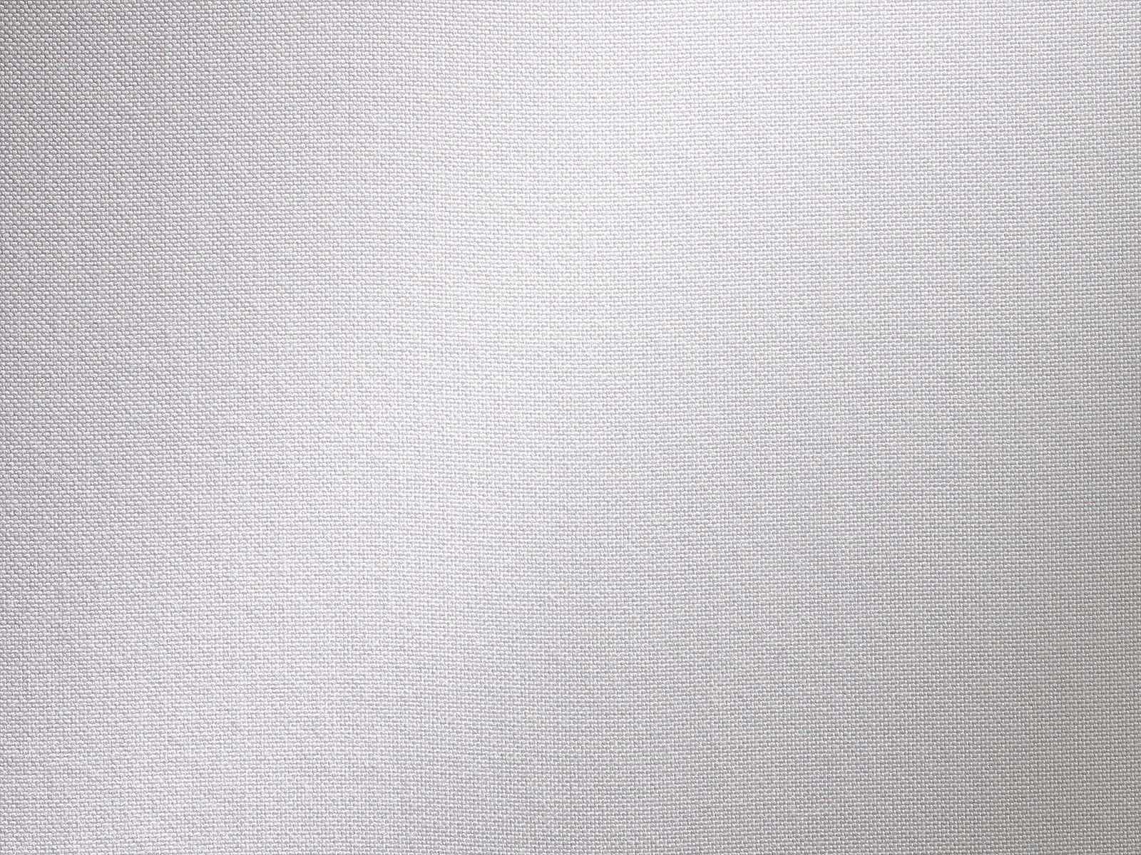DuckSwan.jpeg