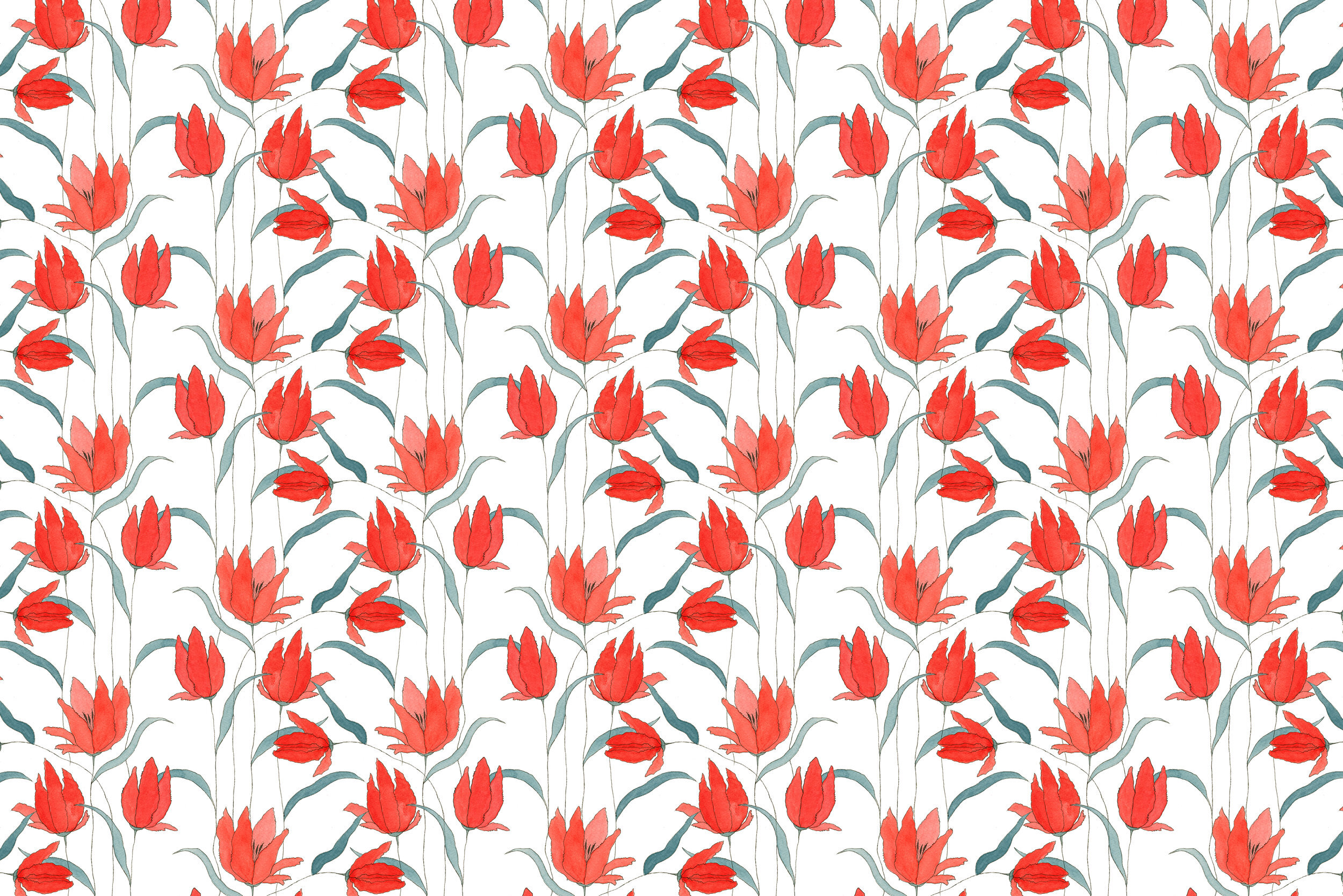 ParrotTulip_adj1_RepeatB_Scale4