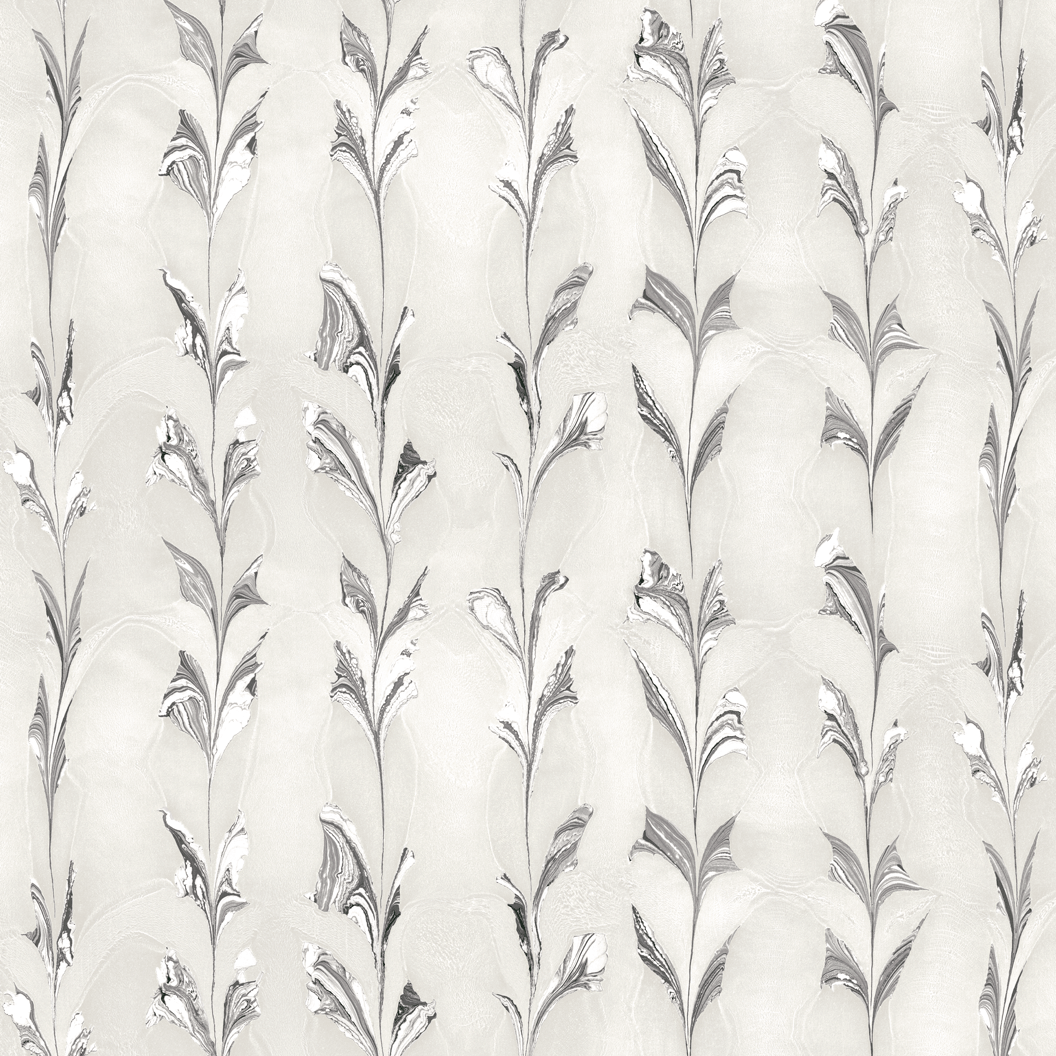 Climbing-Vine_Silver-Birch_Final_20x20.gif