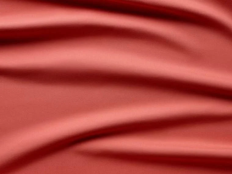 piume scarlet ibis.jpeg