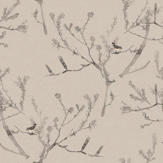 Heath Banksia Wallpaper