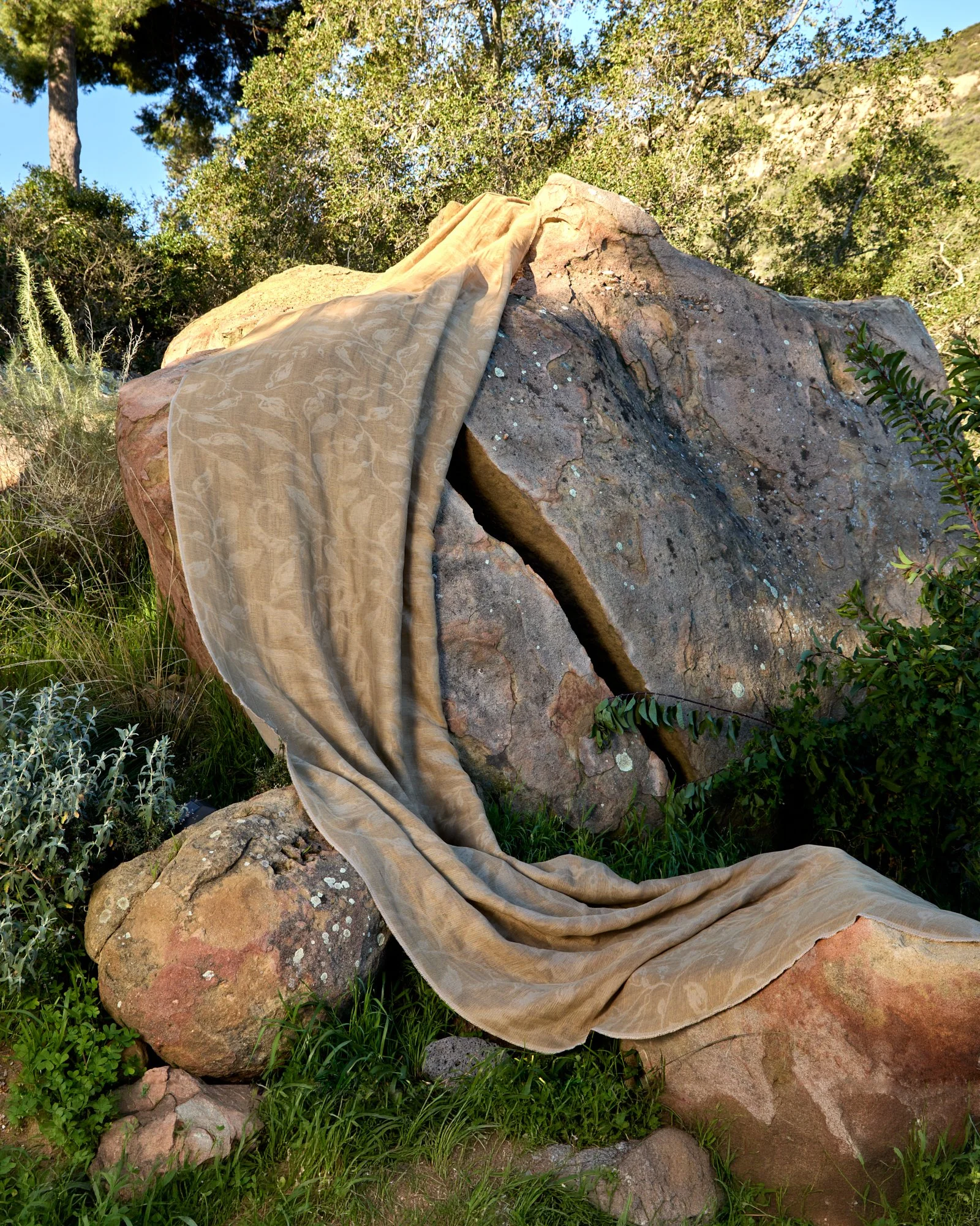 INEZ-ROCKS-1.jpg