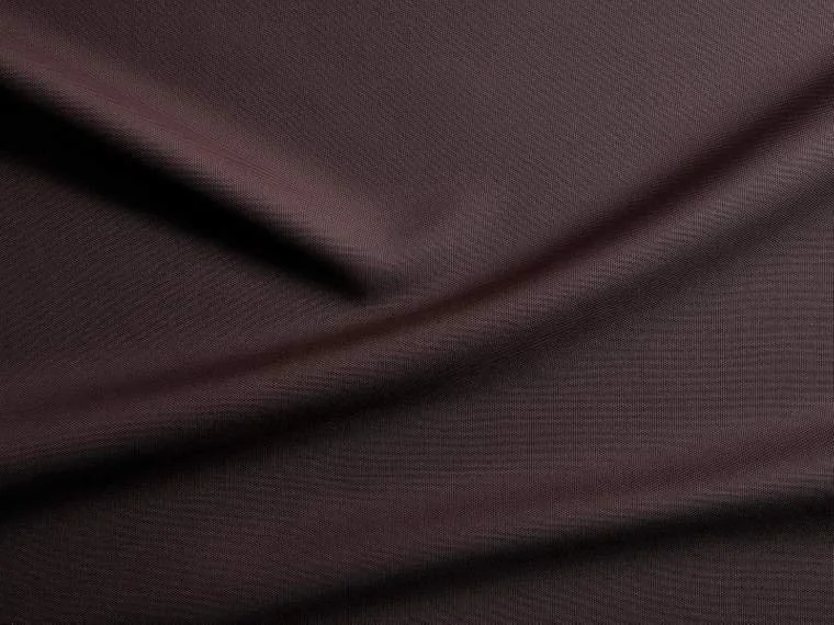 piume starling .jpeg