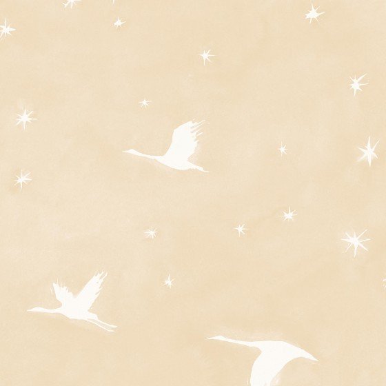starlit-in-hoshi.jpg