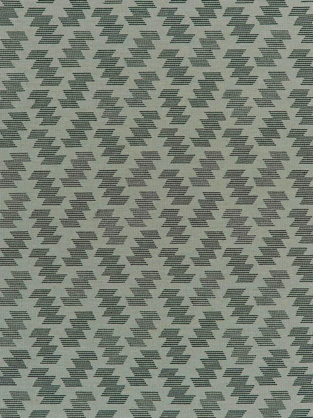 Phoenix+Peppermint+zoomed+for+web.jpg.webp