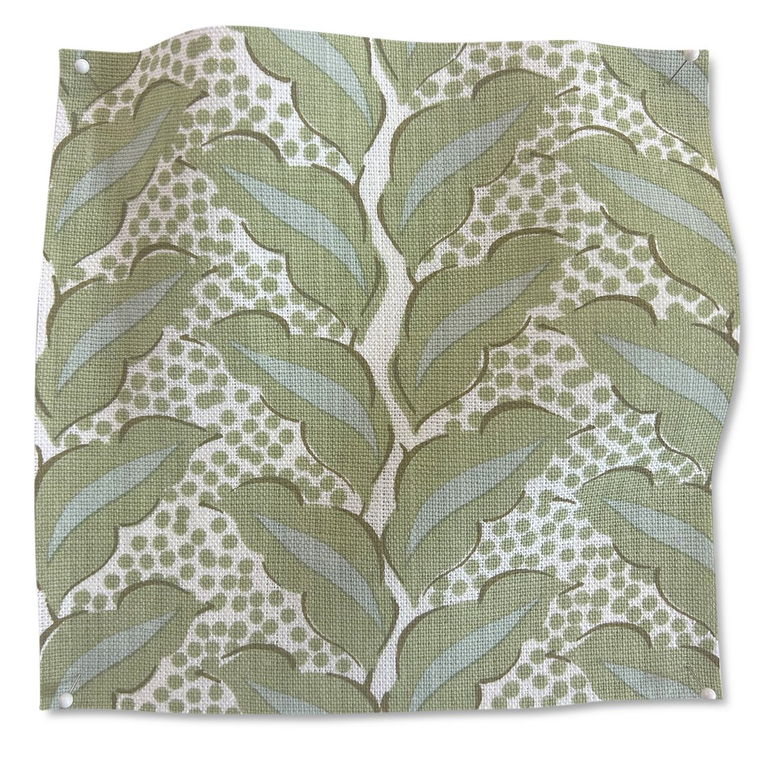 Cassis.Celadon.CC2.jpg