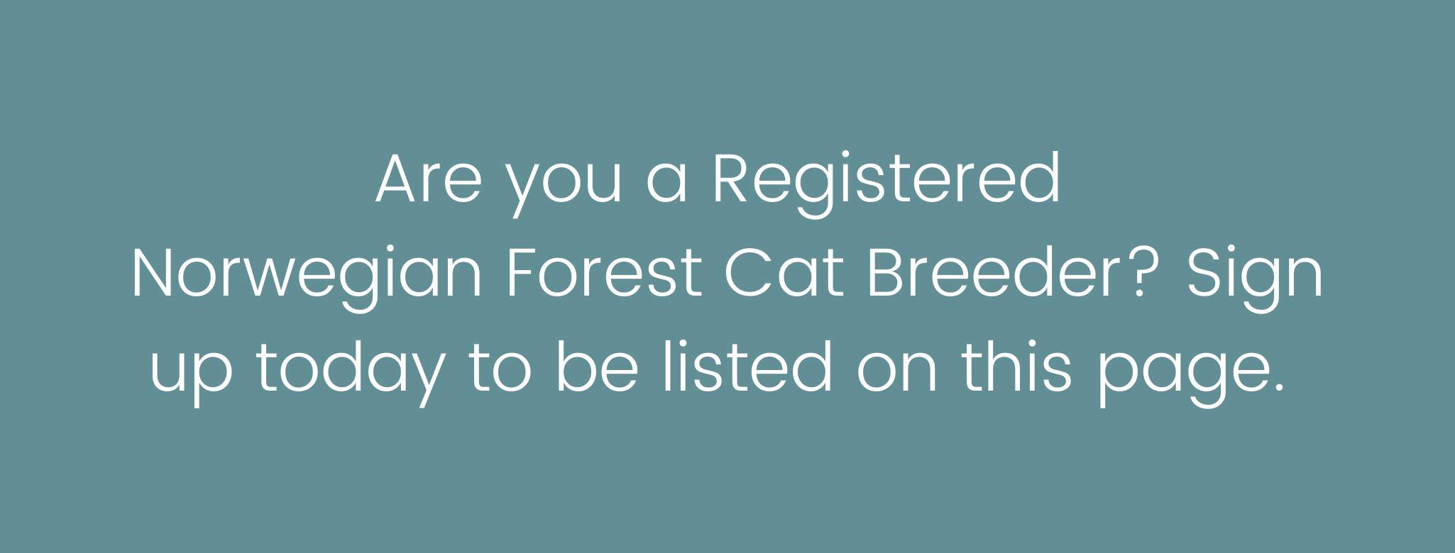 Norwegian Forest Cat Breeders — Registered Pets