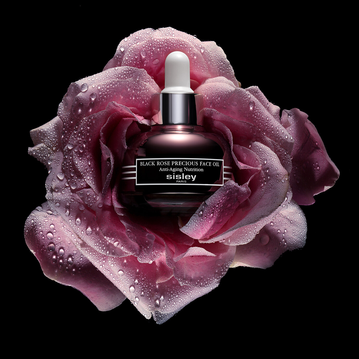 SISLEY BLACK ROSE ON BLACK.jpg