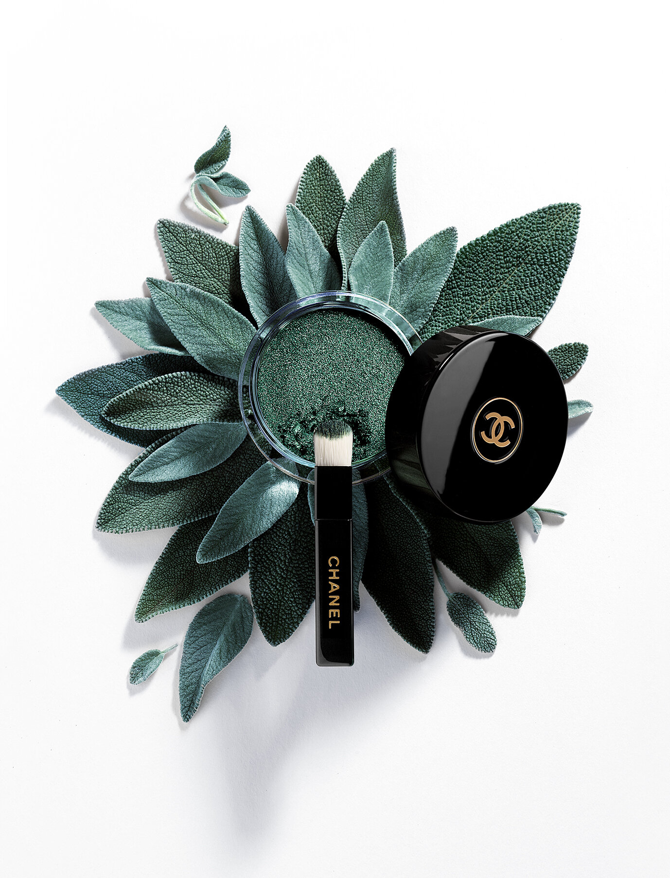 CHANEL EYESHADOW SAGE 2.jpg