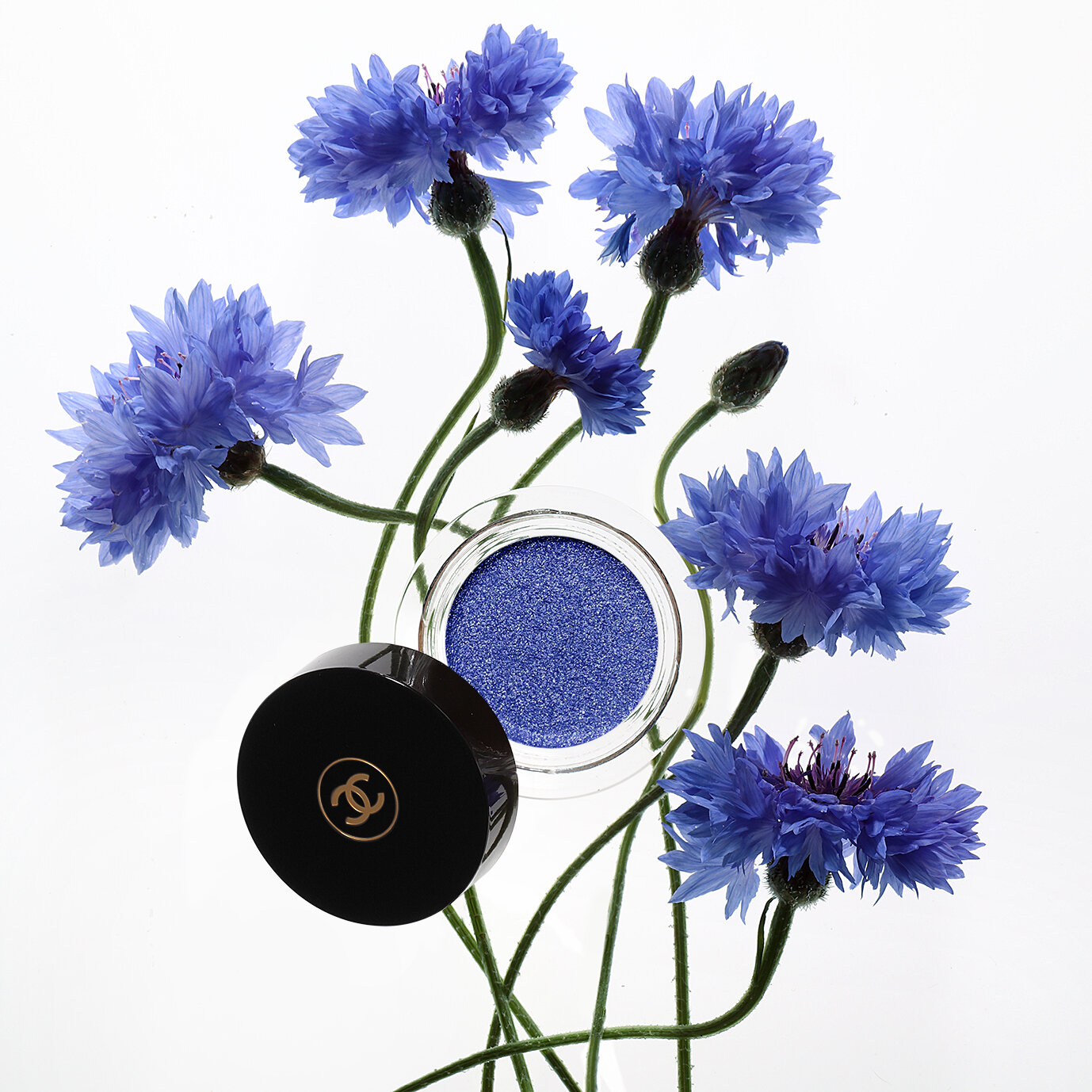 CHANEL CORNFLOWERS EYE SHADOW.jpg