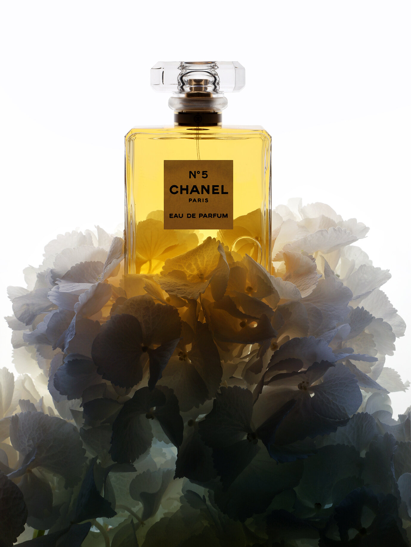 Eau Parfumee au the noir by Bvlgari For Men & Women EDC Spray Cologne 5oz  New