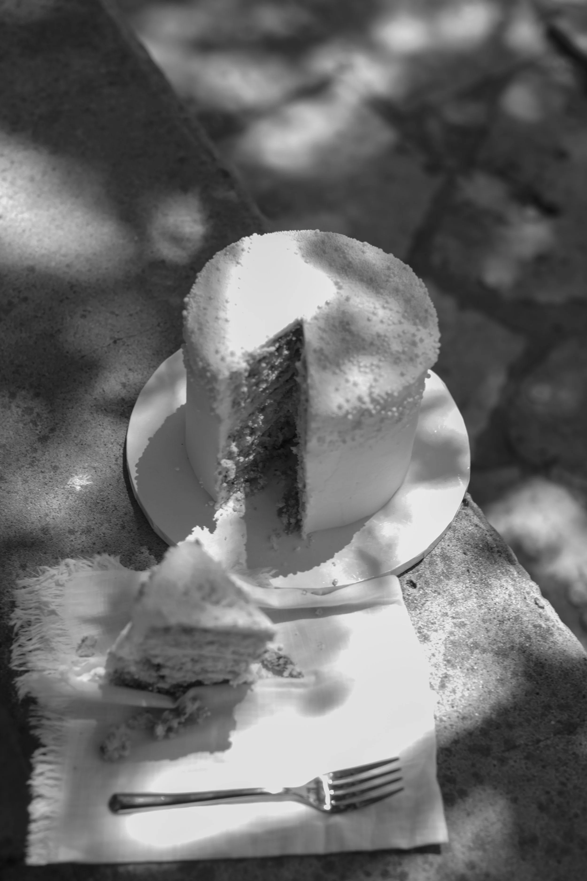 a piece of cake on a plate, in the style of zeiss planar t* 80mm f/2.8, concrete, art of tonga, monochromatic imagery