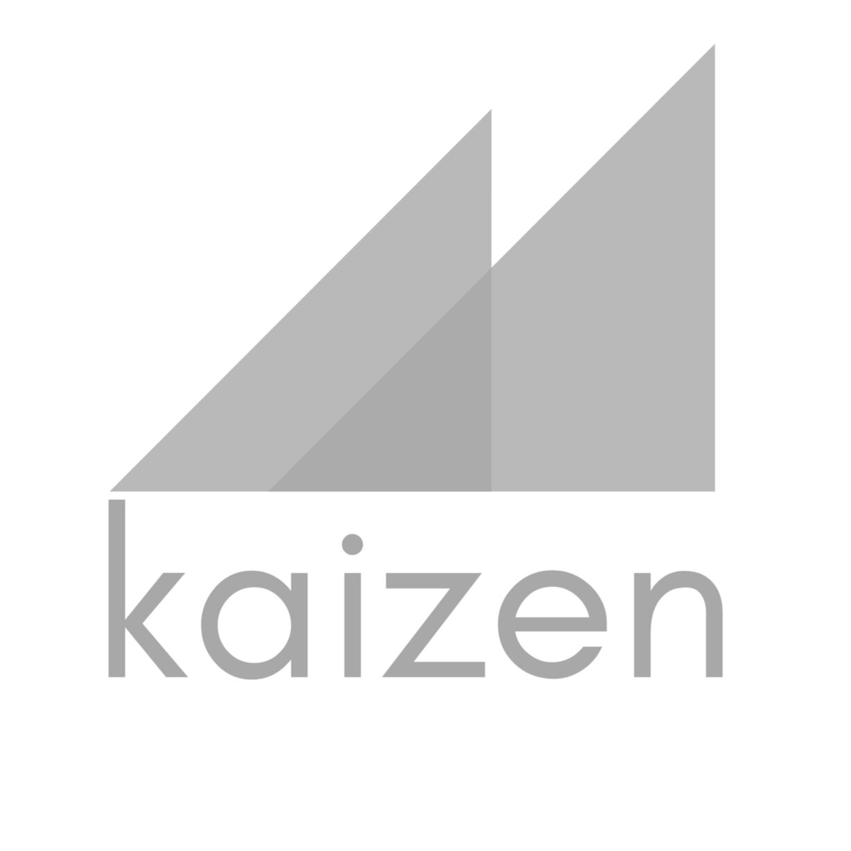 Kaizen Climbing Coaching