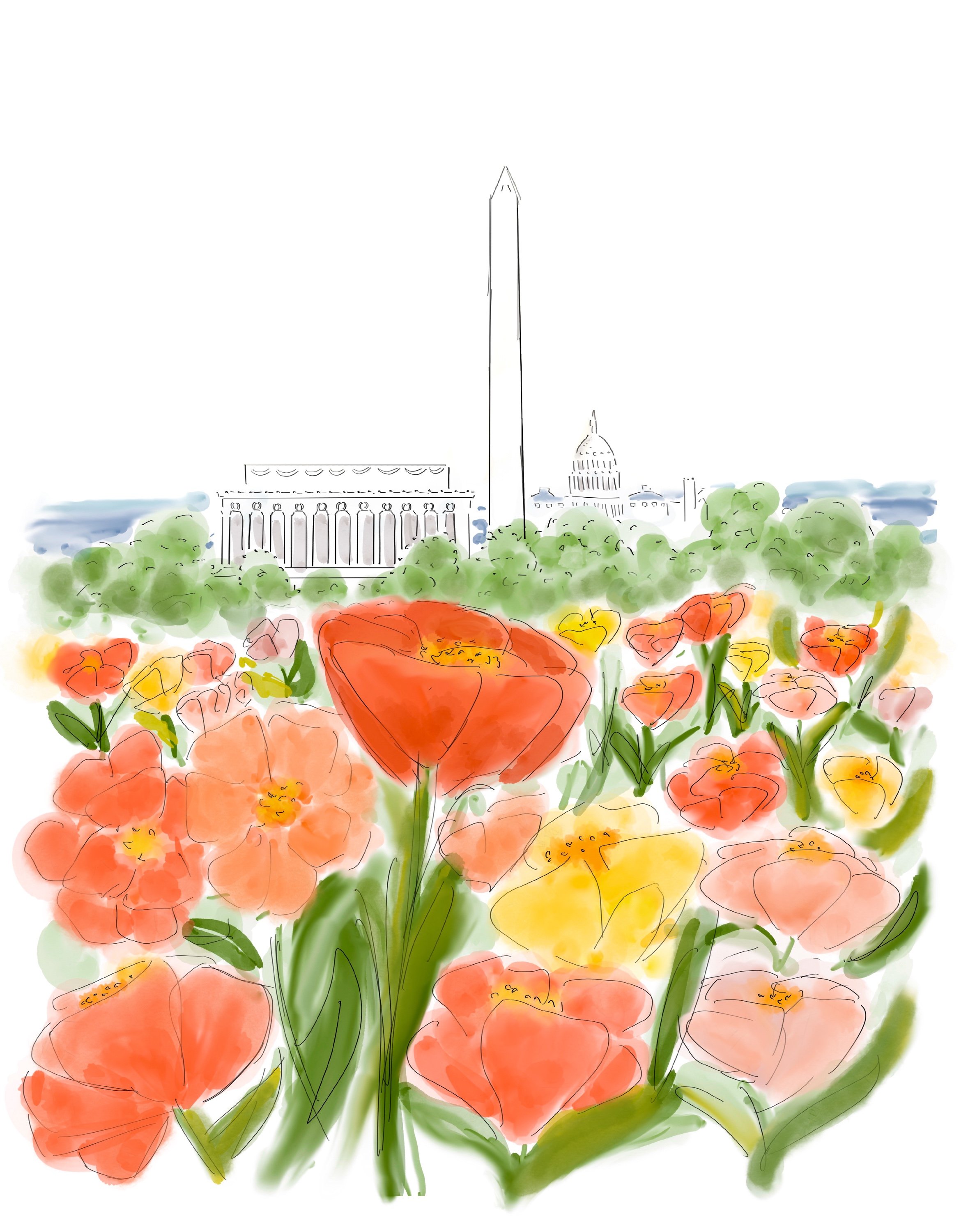 Vibrant Tulips.jpg