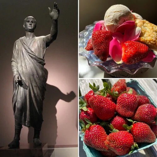 Minted Rose Ice Cream