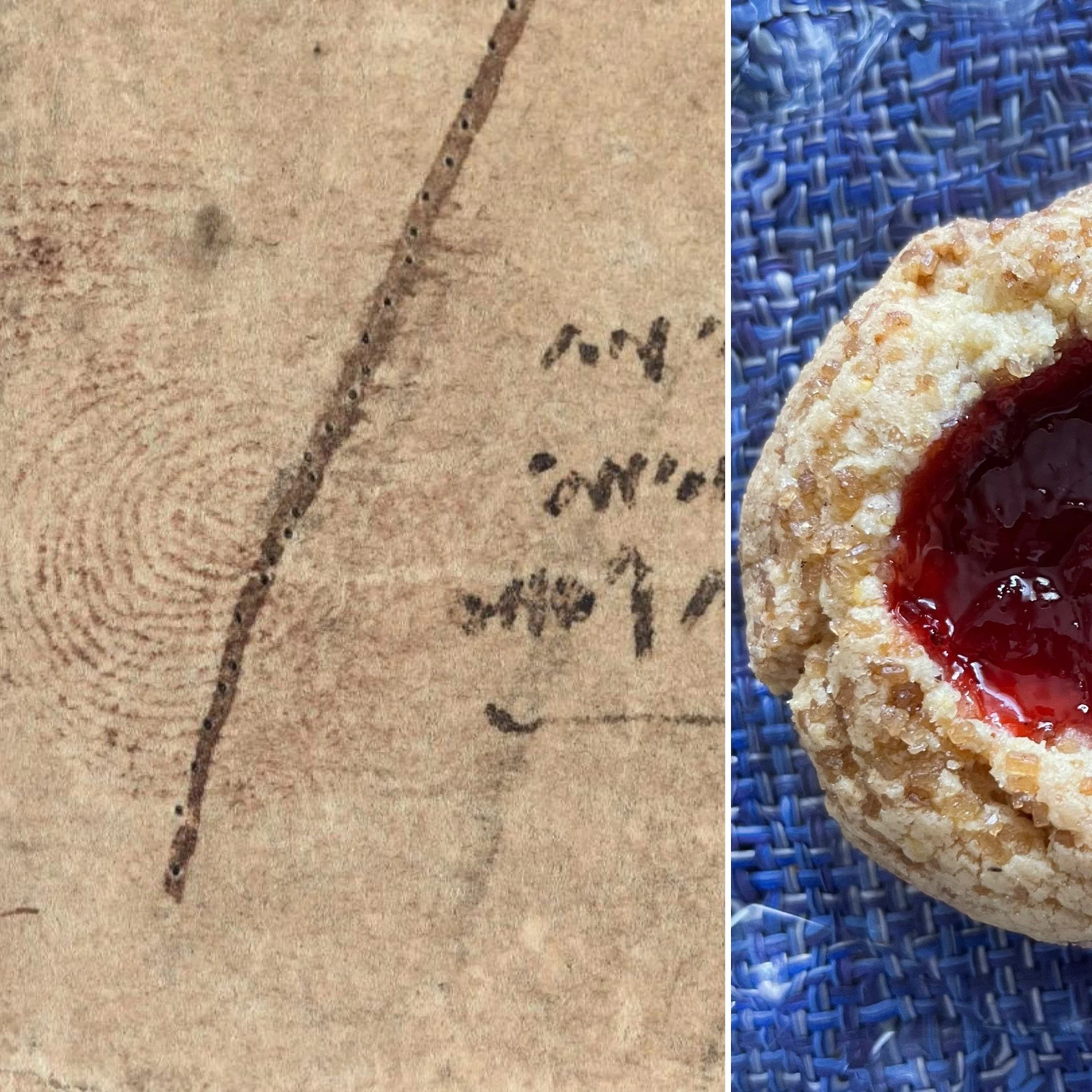 Toasted Cornmeal and Ginger Thumbprint Cookies with Strawberry Jam