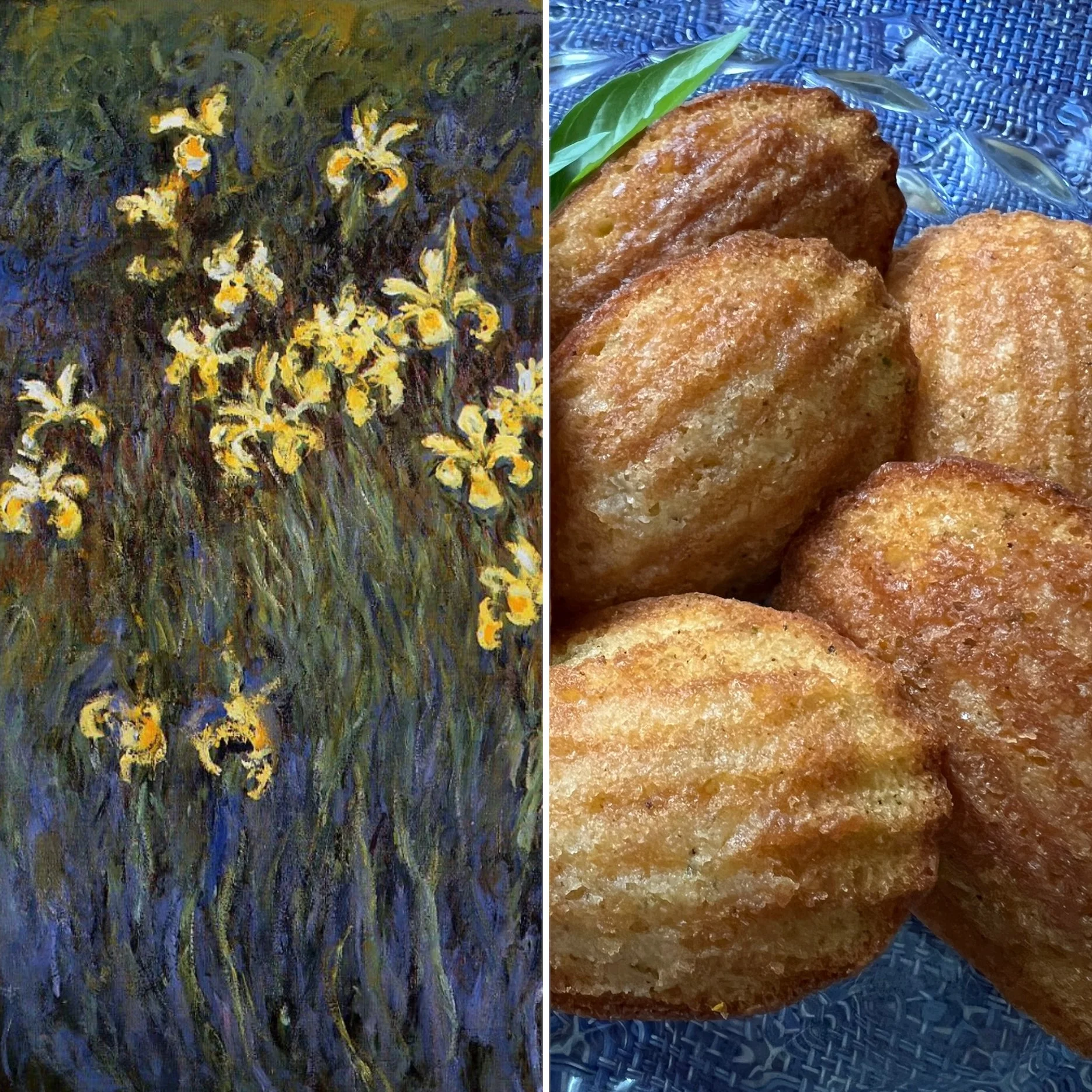 Meyer Lemon and Fresh Basil Madeleines