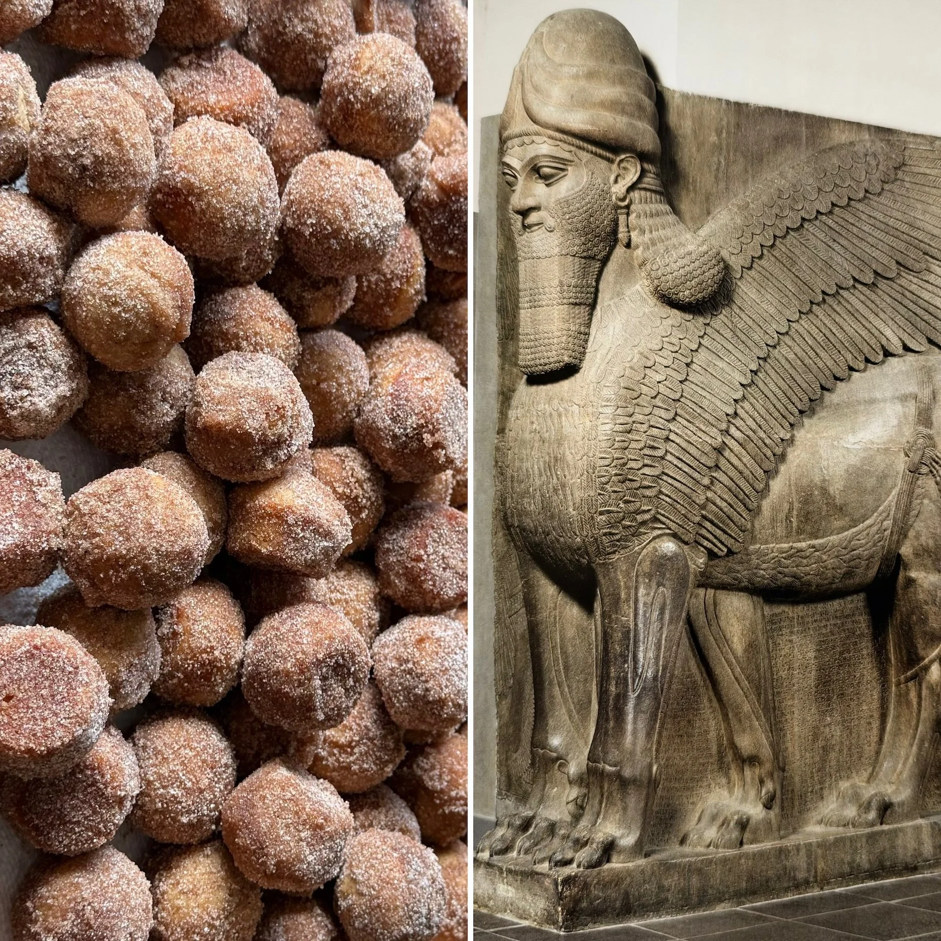 Professor Butter Beard’s Apple Cider Doughnut Holes