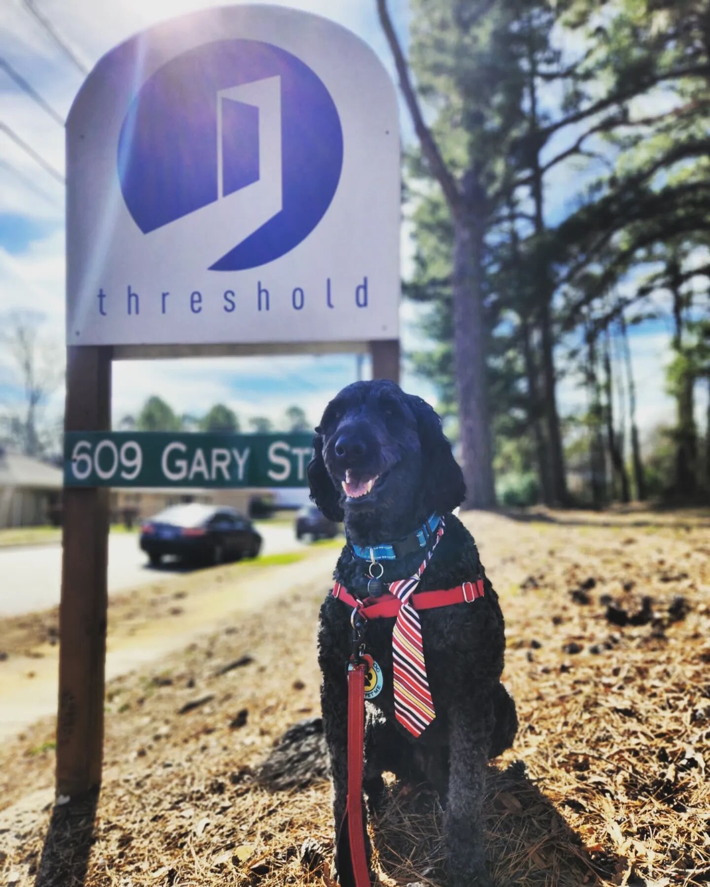 Therapy dog @ninjaisgoofy spent the day with us today! 🐶🥰