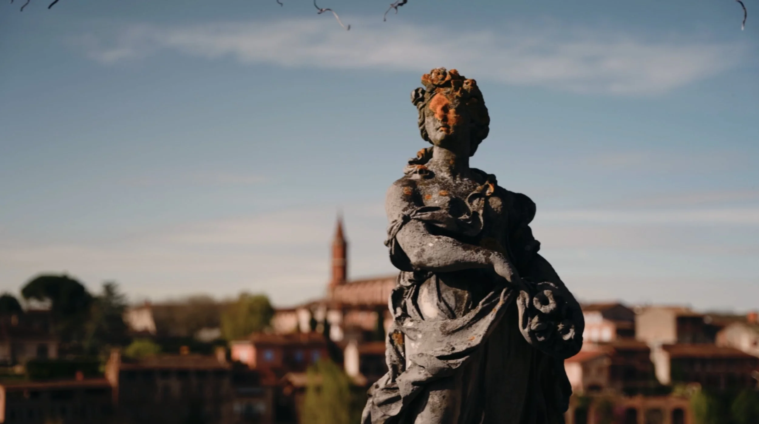 Albi