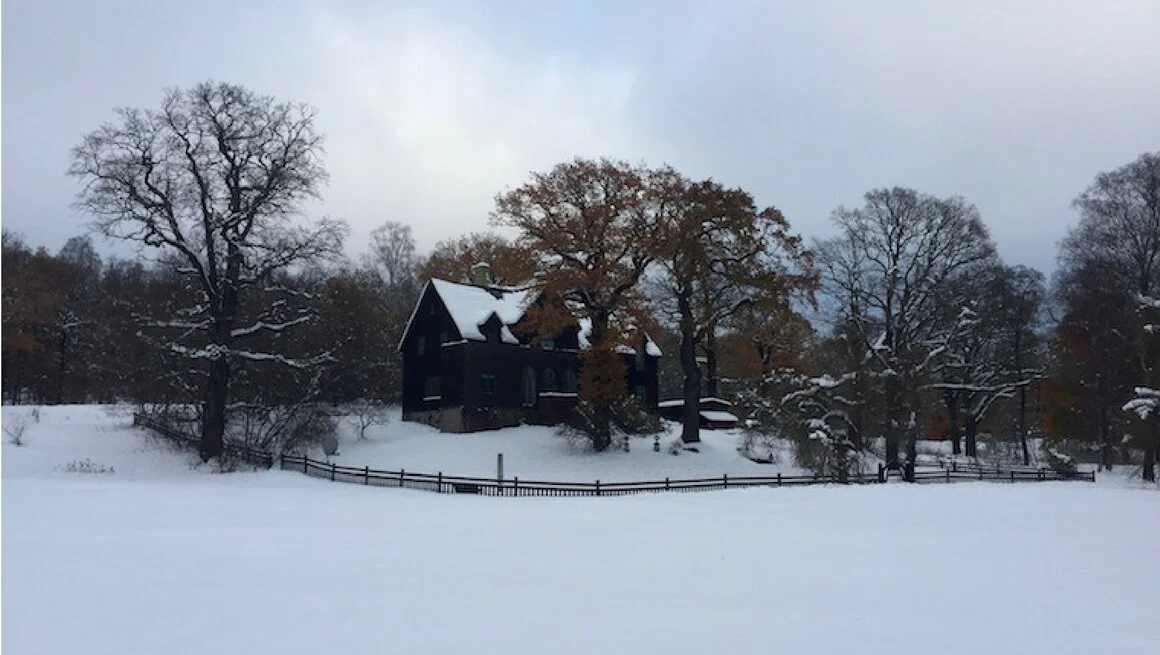 Snow Cannons turn Stockholm into a Winter Wonderland