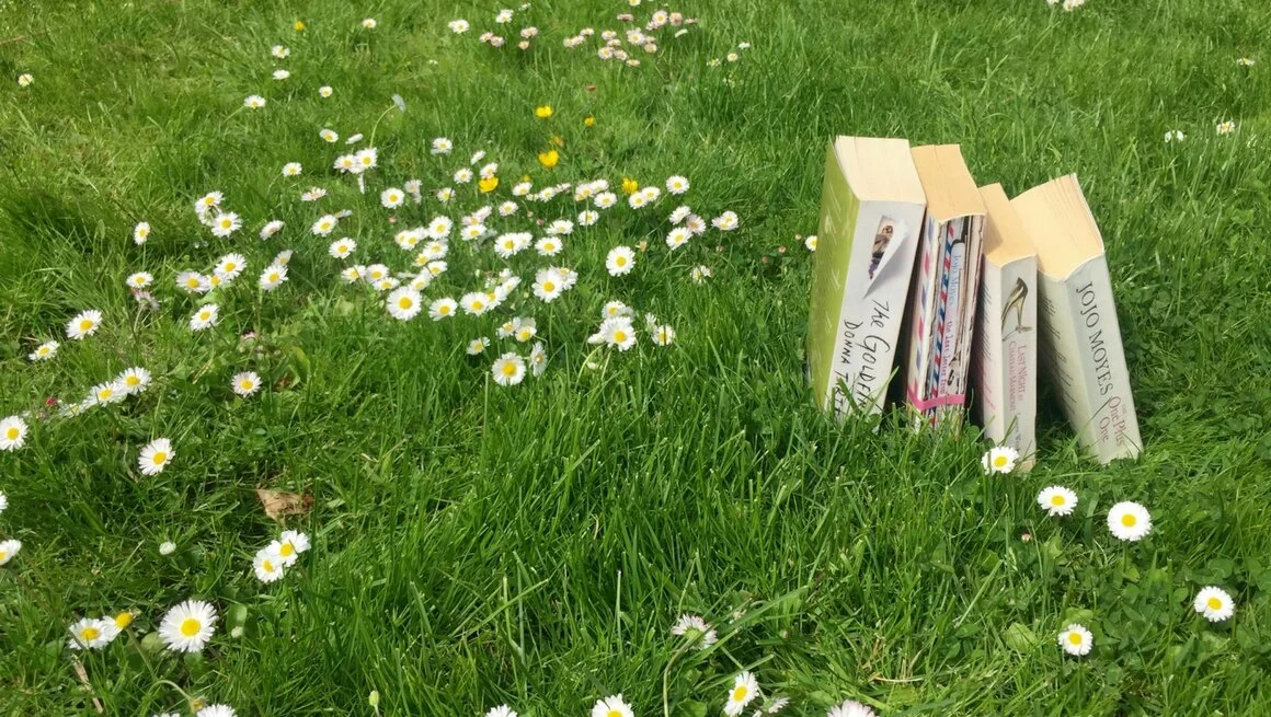 My Summer Reading List 2017 - Some Oldies from the Library