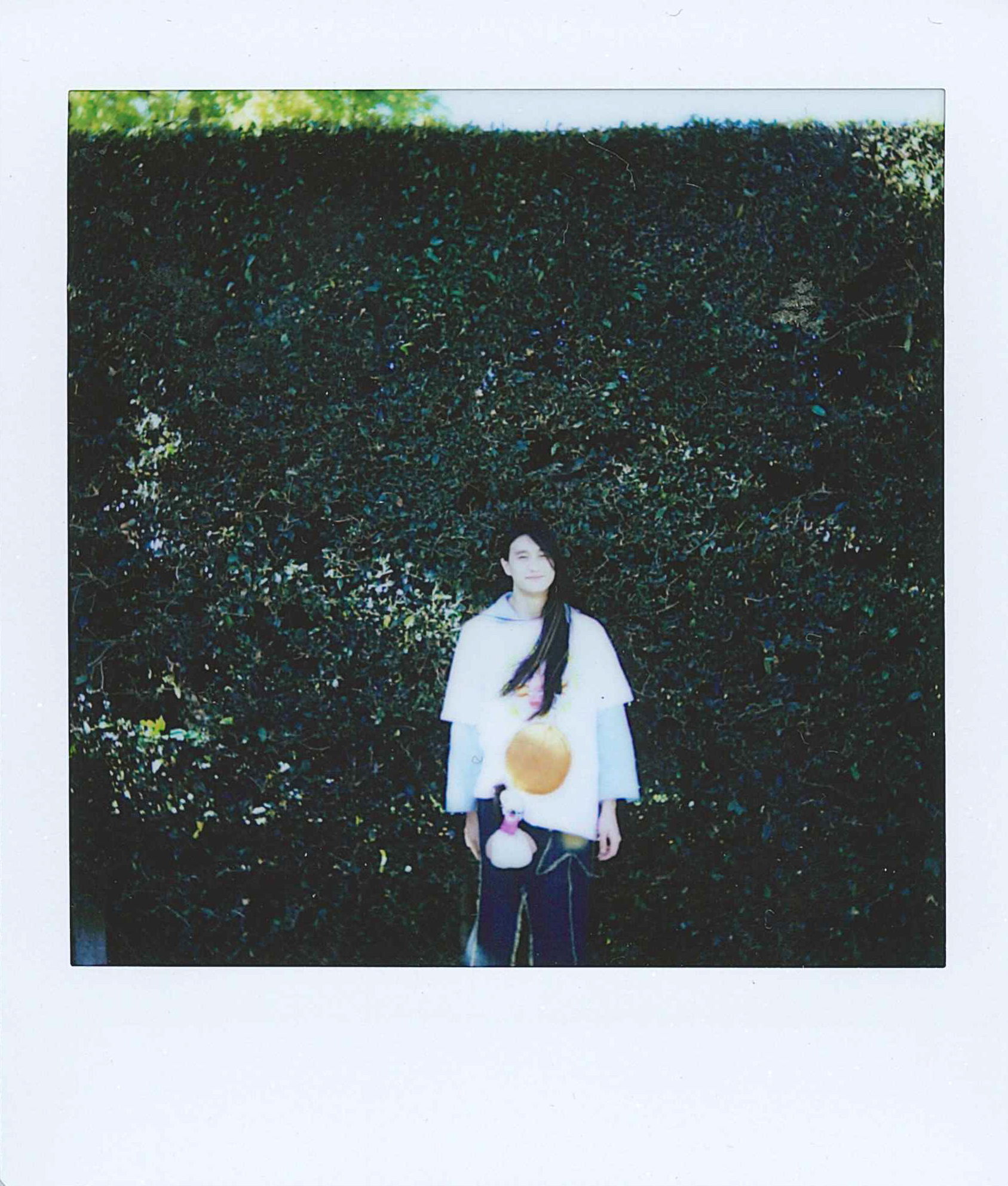 innards_polaroid3.png