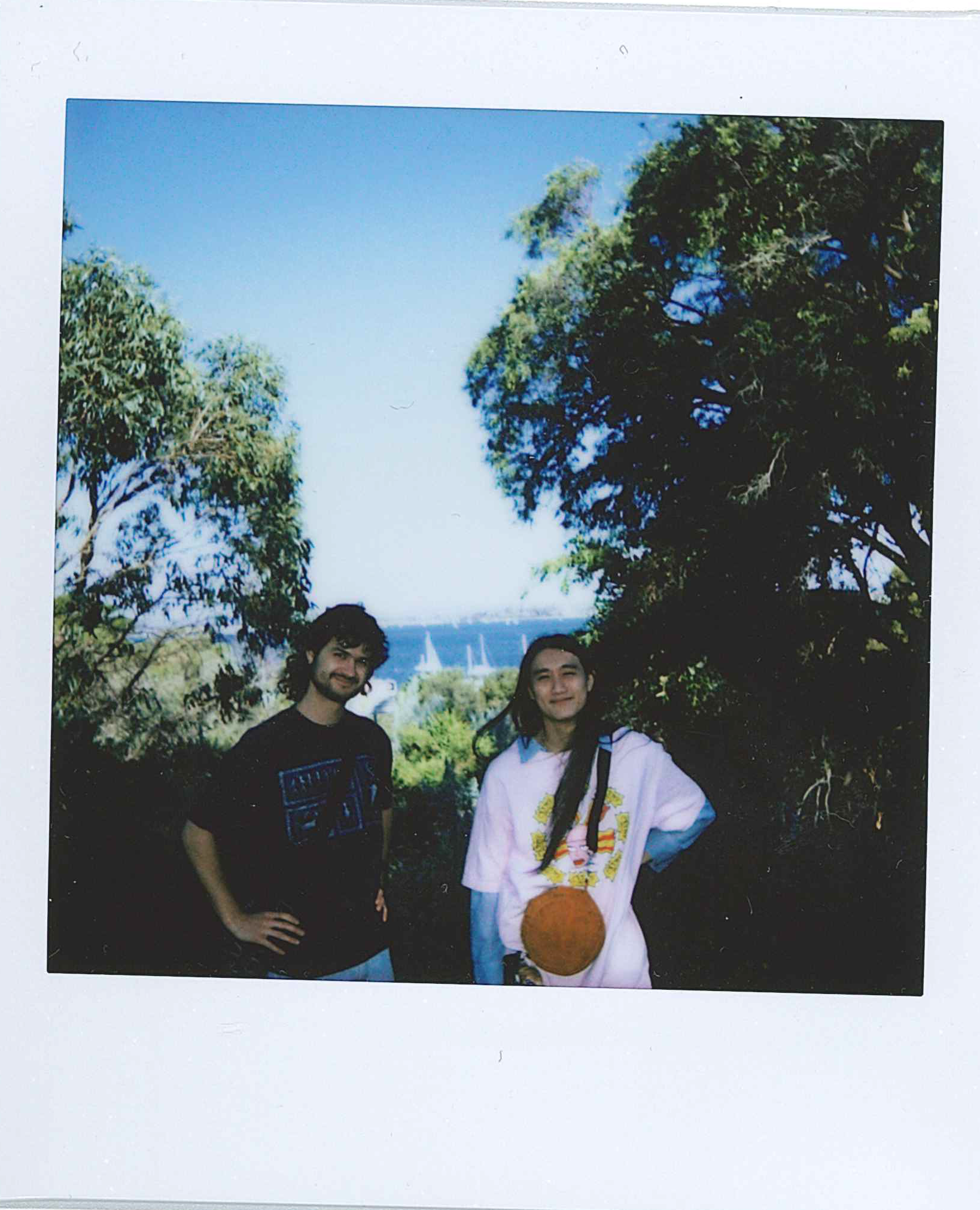 innards_polaroid6.png