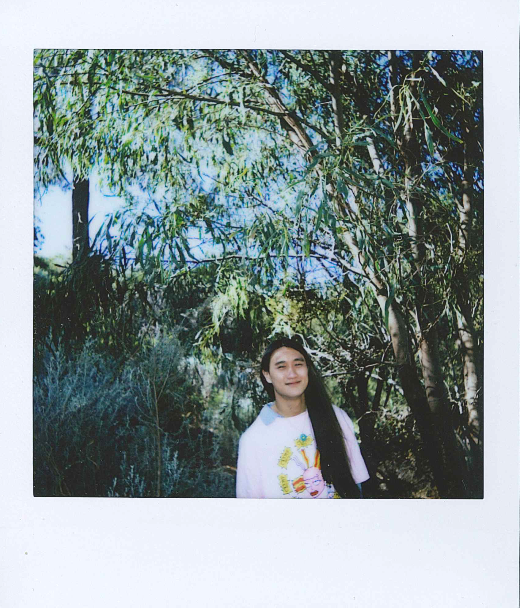 innards_polaroid4.png
